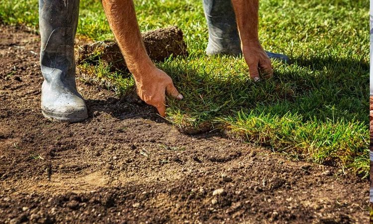 When to Mow New Sod & How to Do it Correctly